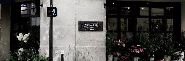 adoringmuse Profile Banner