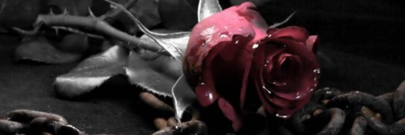 reeldam's profile banner image