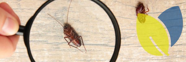 BASIS_PROMPT Profile Banner