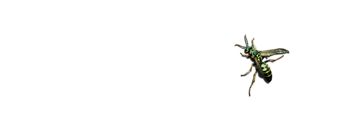 tylordxx's profile banner image