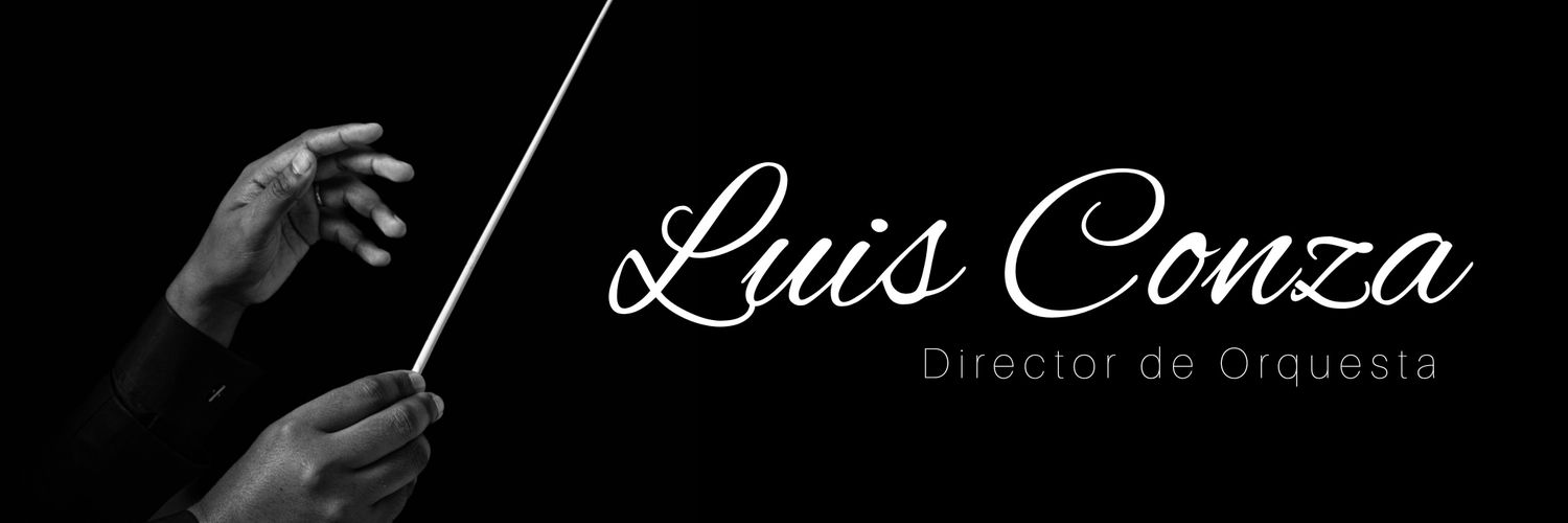 soyluisconza's profile banner image
