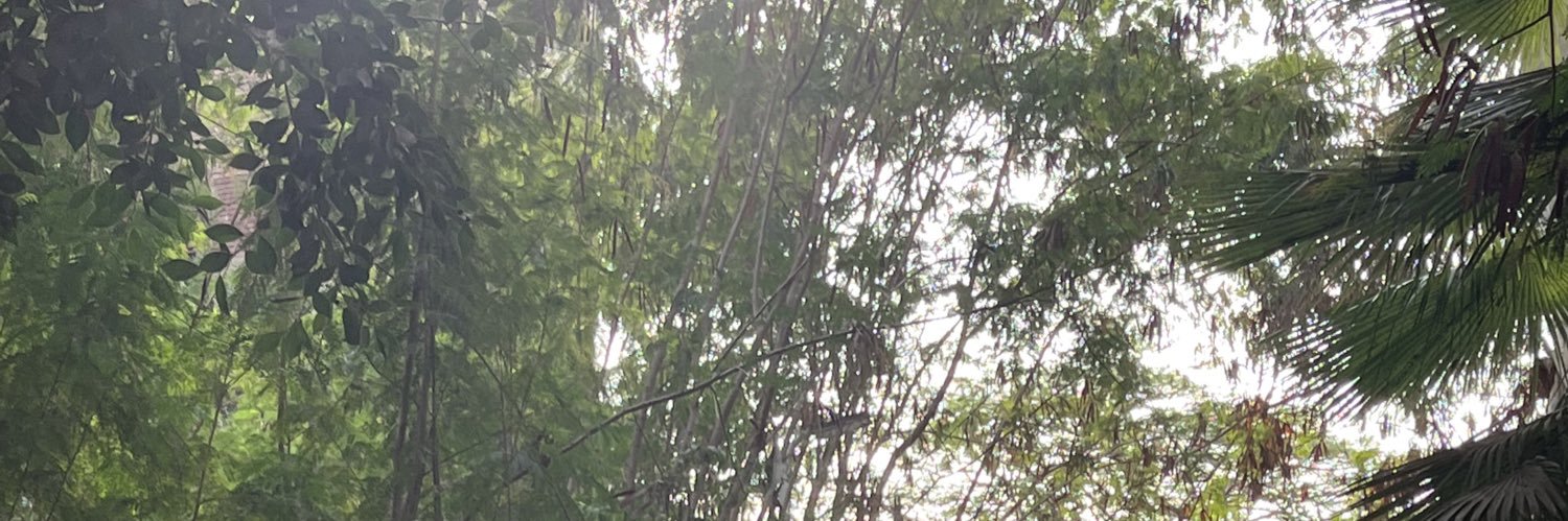 ayellowspirit's profile banner image