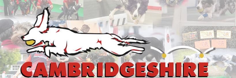 CambsFlyball's profile banner image