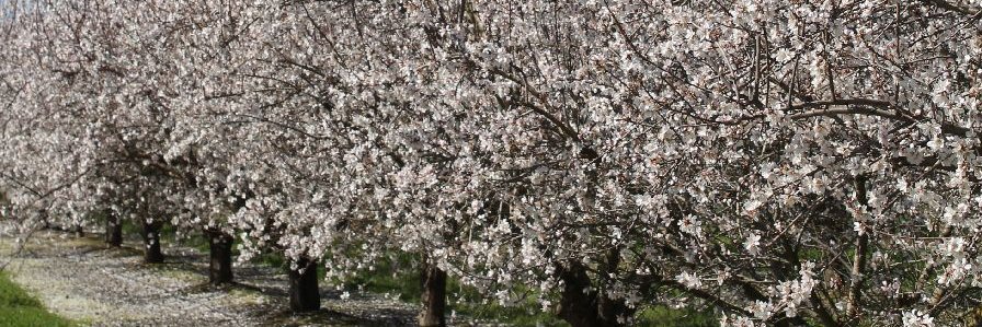 Richard Jones banner