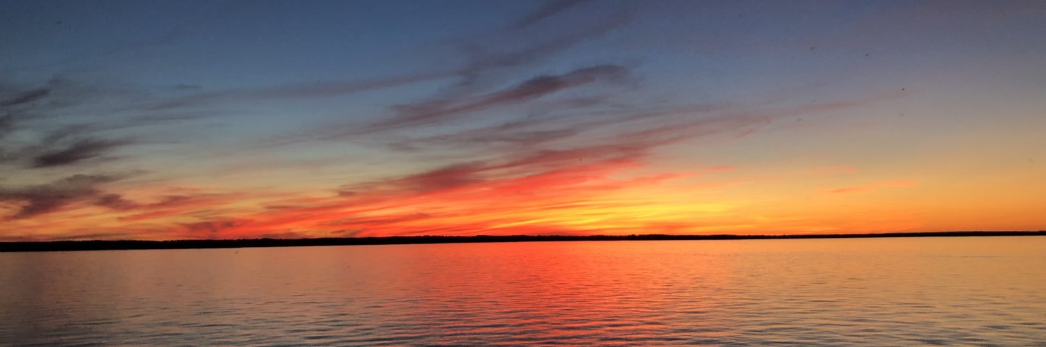 lenammelo's profile banner image