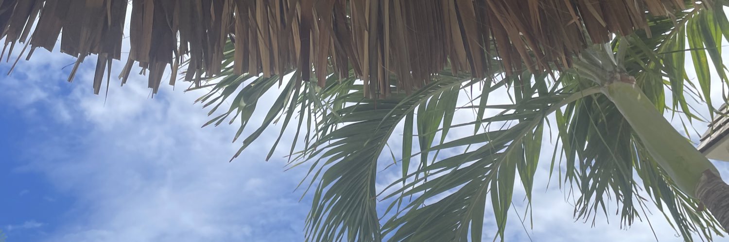 WenBir banner