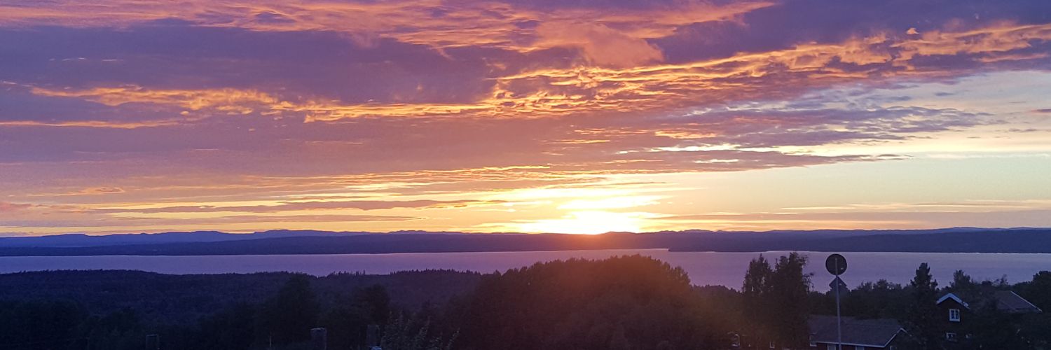 Danny Froberg banner