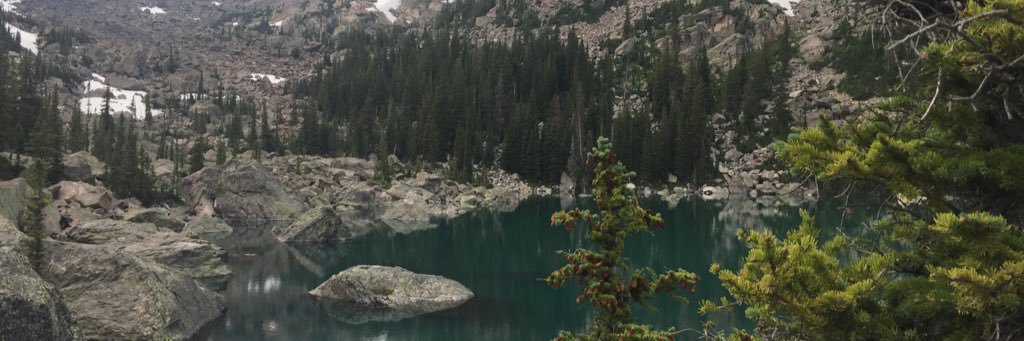 danni_139's profile banner image