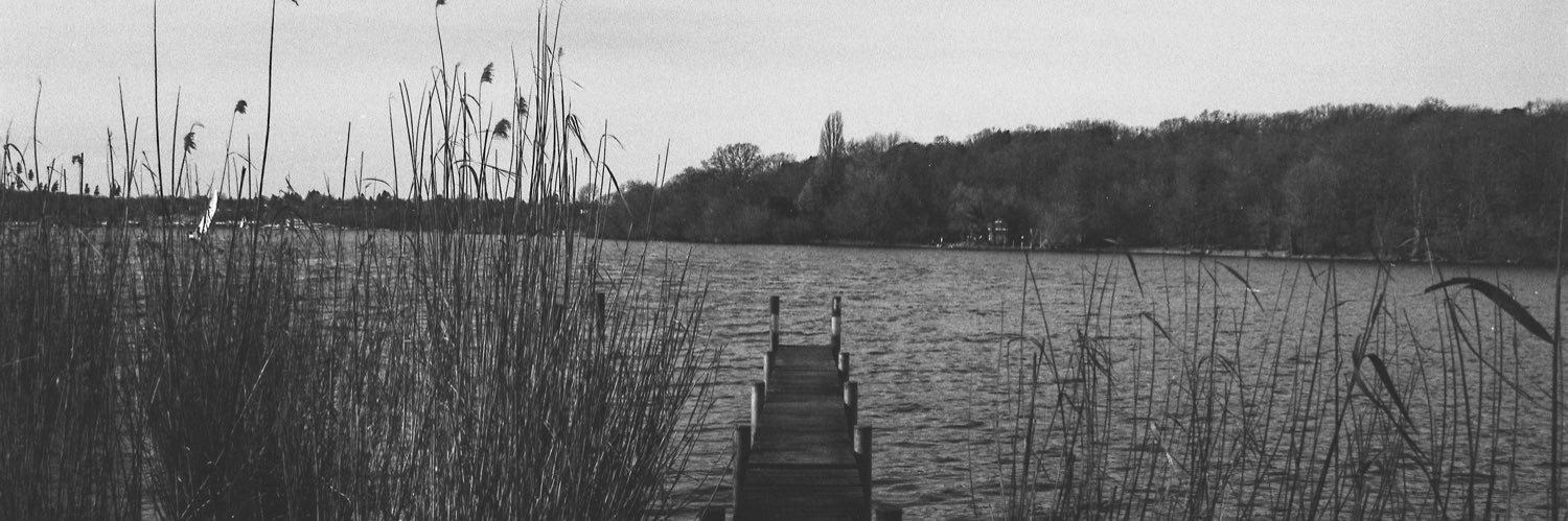 danielle 🏳️‍🌈 banner