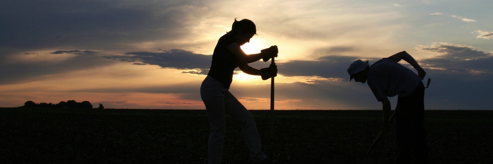 Illinois State Archaeological Survey banner