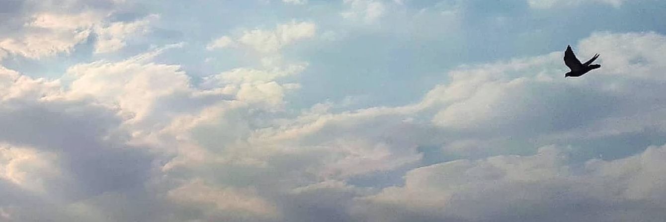 harof40's profile banner image