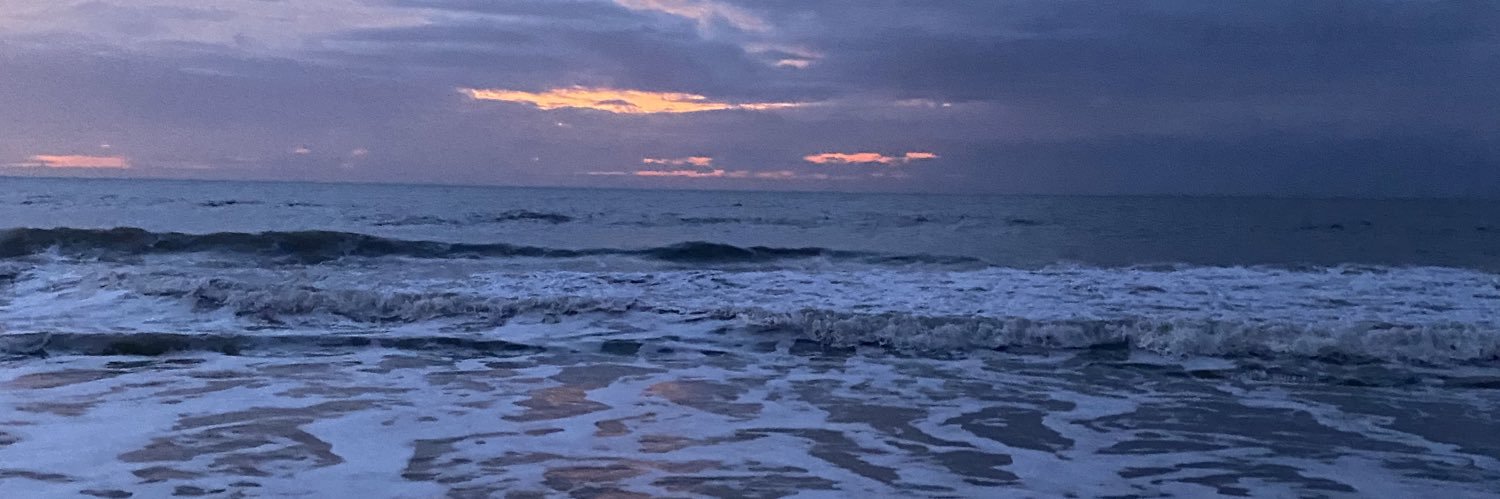 julia_salois's profile banner image