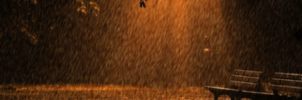Moni_MM20 Profile Banner