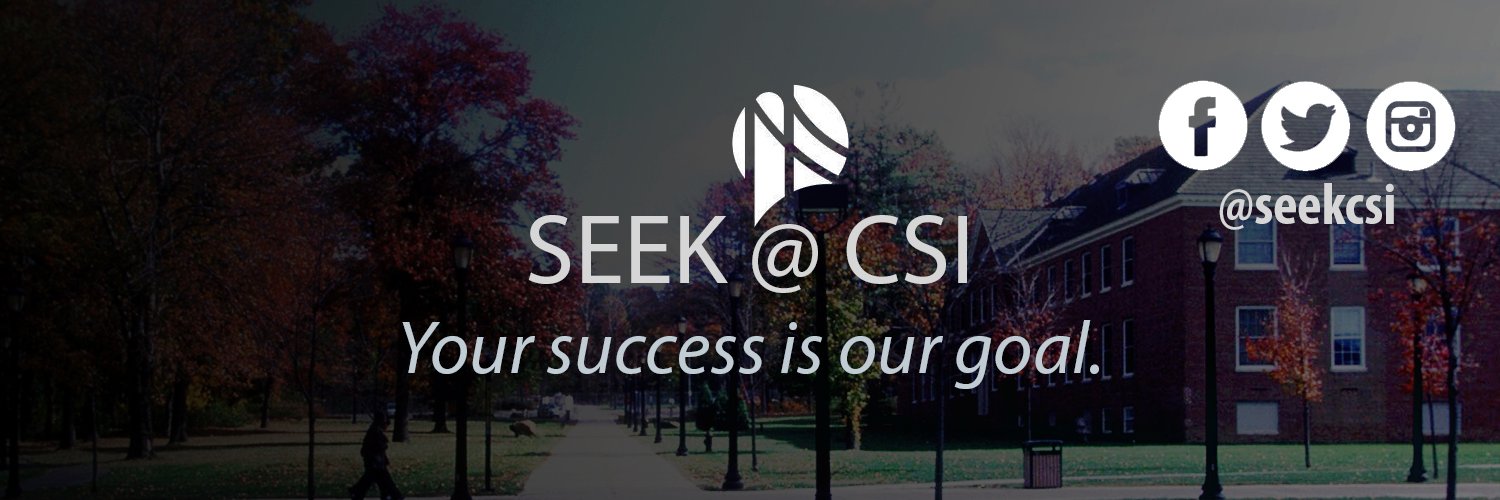 seekcsi's profile banner image