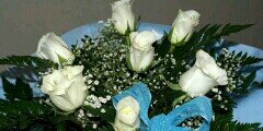 ko537716's profile banner image
