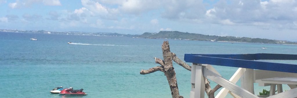 tnengdao's profile banner image