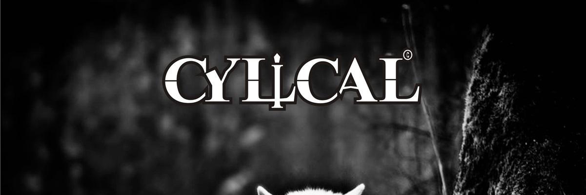 cylical_inc's profile banner image