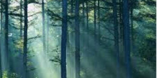 MichelleLatz's profile banner image