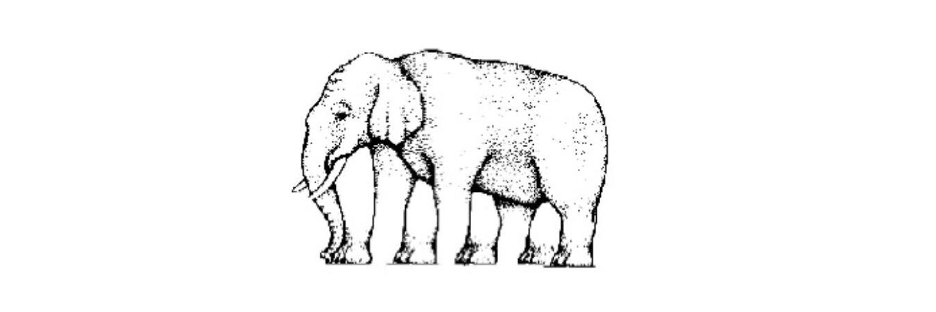 ferranpf's profile banner image