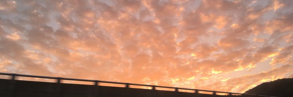 xingxingEE's profile banner image