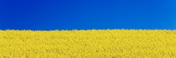 Grey_Monroe Profile Banner