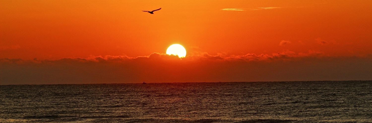 MichaelMar54's profile banner image