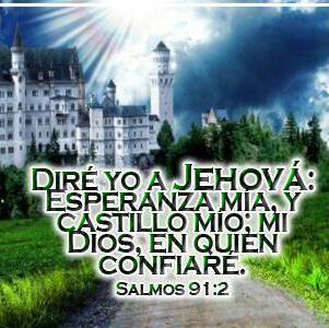 dominga santamaria d banner
