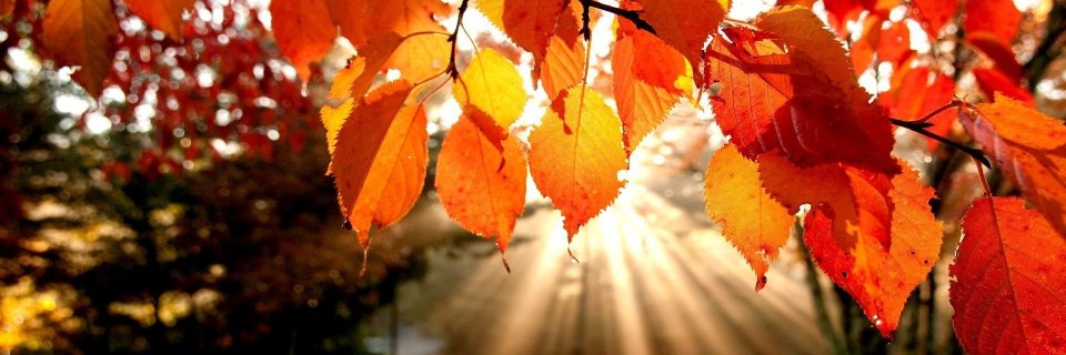 Juanita Philben banner