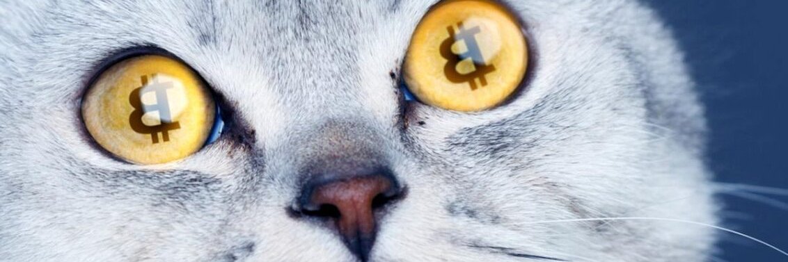 CEO of Bitcoin banner