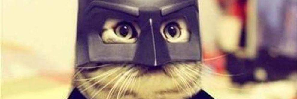 LebecqPhilippe's profile banner image