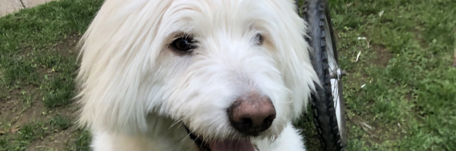 Mabe 🇨🇱🇨🇭 banner