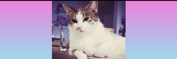 Blankette Profile Banner