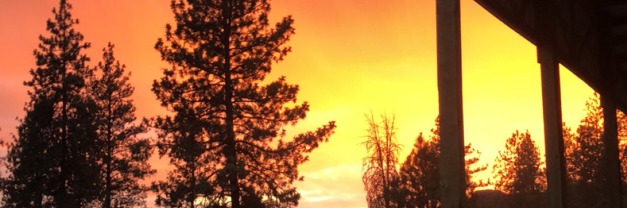 seabisket09's profile banner image