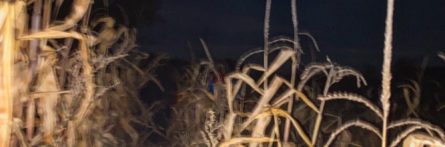 queentrashpanda's profile banner image