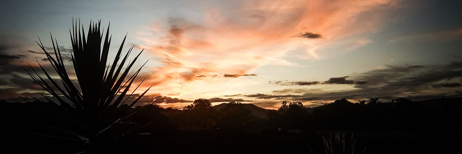 igorsdo_'s profile banner image