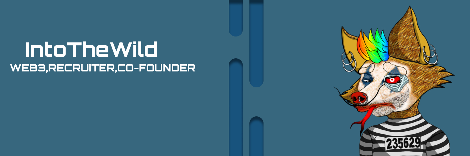 0xIntoTheWild's profile banner image