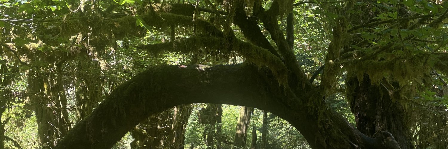 cwarettp's profile banner image