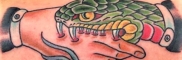 piocqua's profile banner image