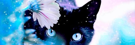 eleoguzmi's profile banner image
