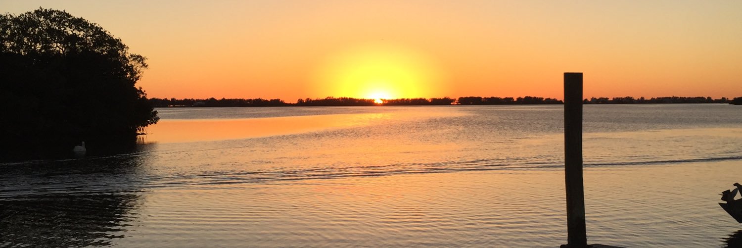 suebee360's profile banner image