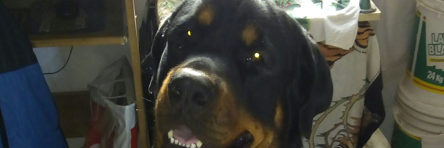 chulesosa's profile banner image