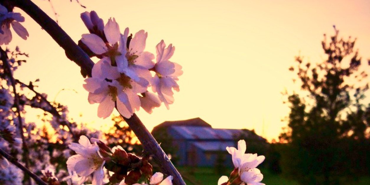kymberliapril's profile banner image