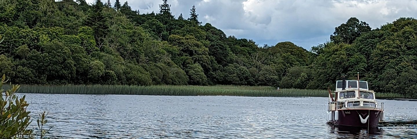 hazelcooney's profile banner image
