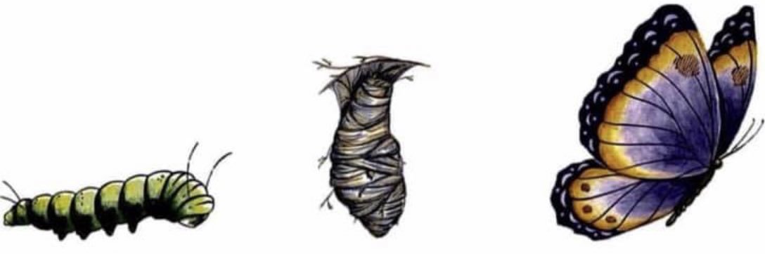 LiraMaritza's profile banner image