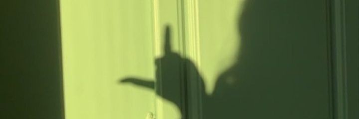 mel_zaracho's profile banner image