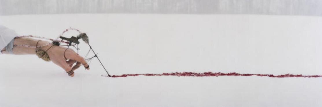 Invidiosa banner