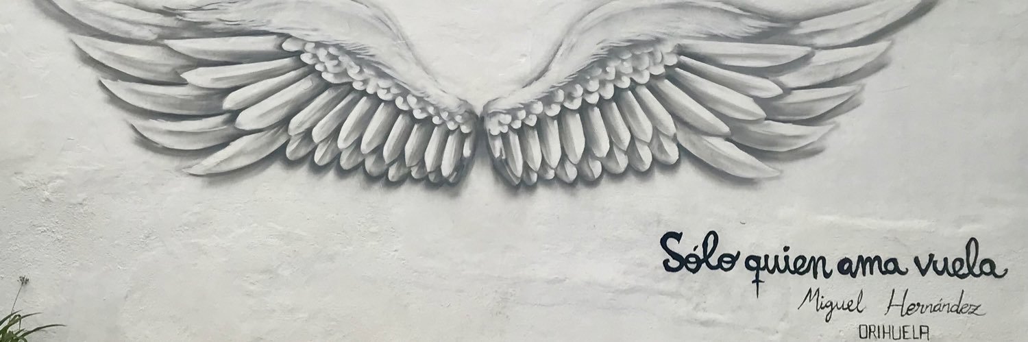 Meriueta's profile banner image