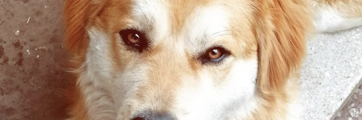 zey_neeppp's profile banner image