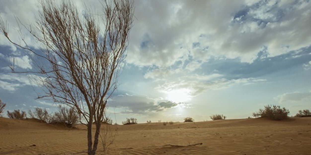 alnahedh6's profile banner image