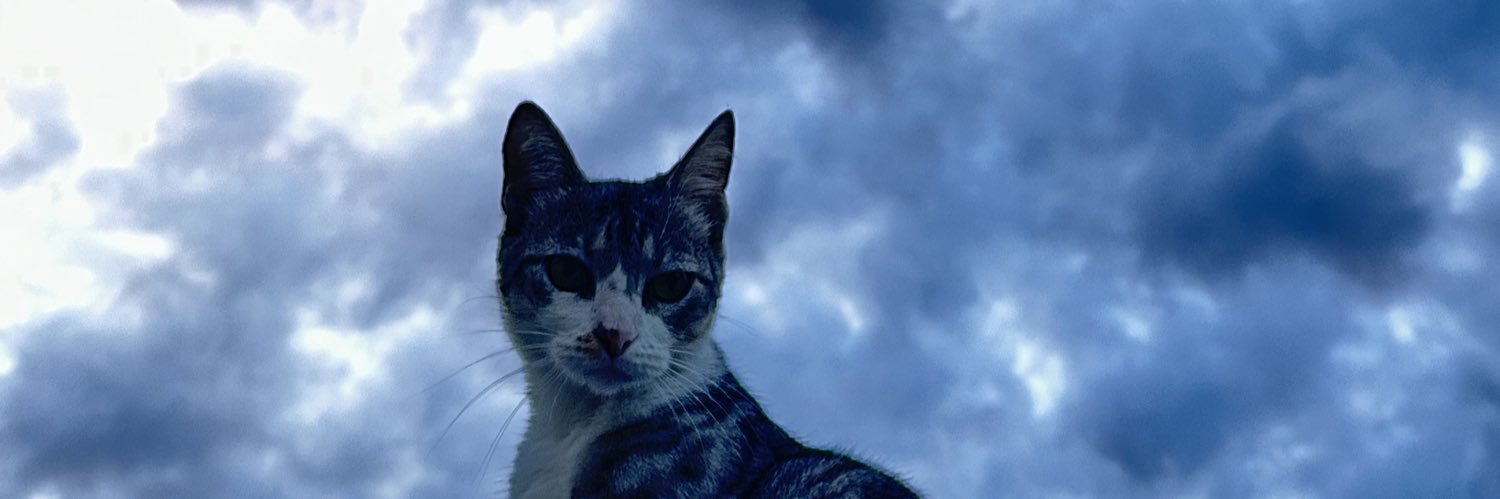 HerediaAgoss's profile banner image
